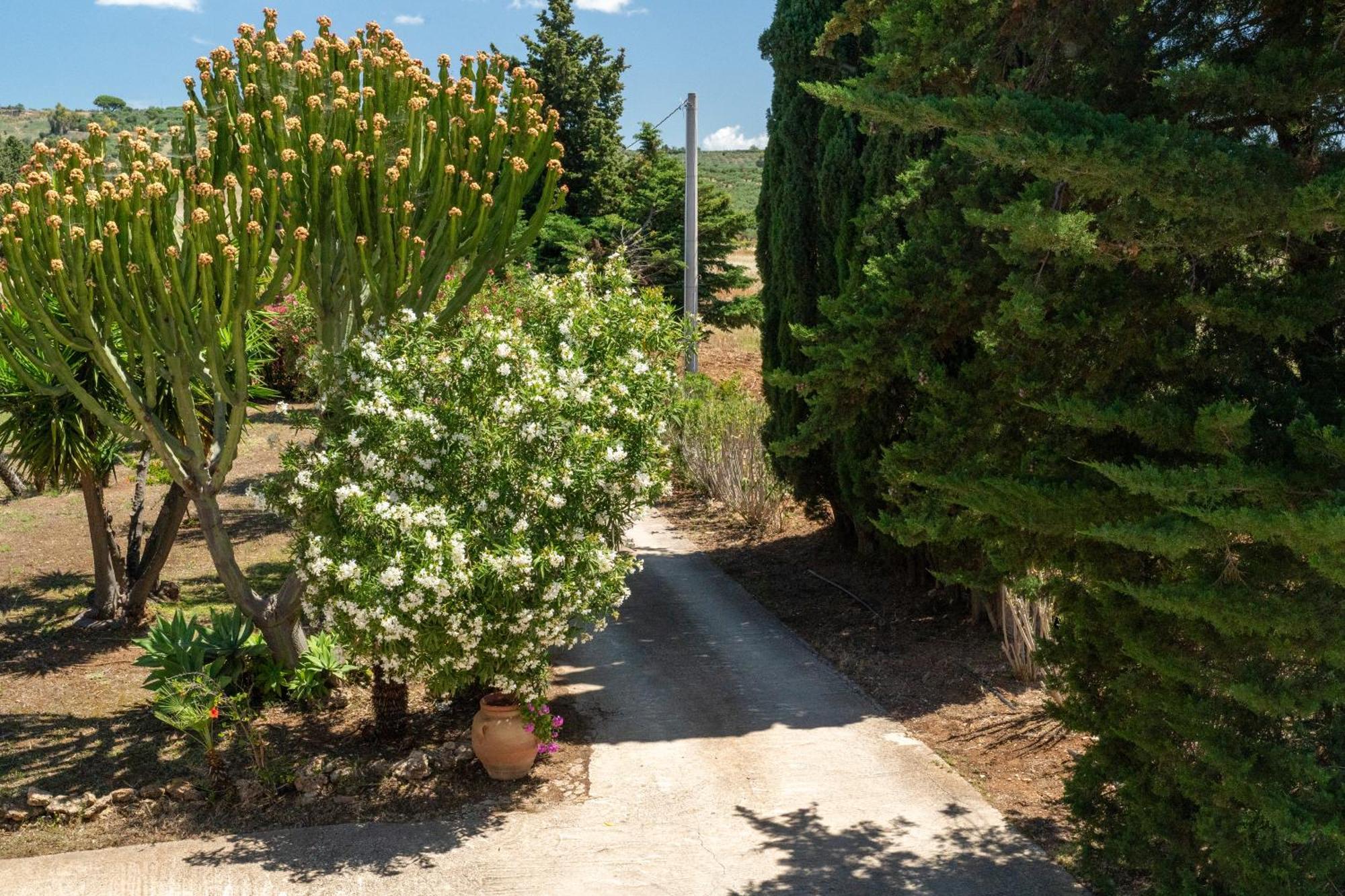 Casa Vacanze Verdemare Con Piscina Ribera Exteriér fotografie
