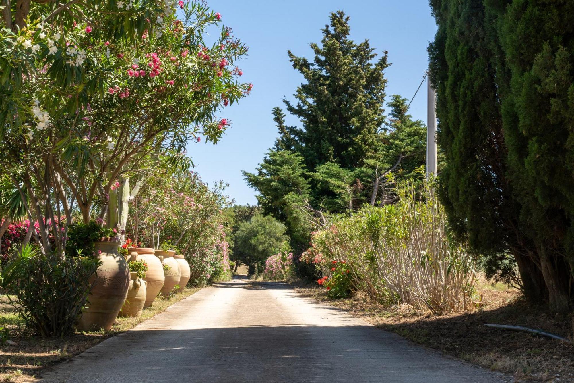 Casa Vacanze Verdemare Con Piscina Ribera Exteriér fotografie